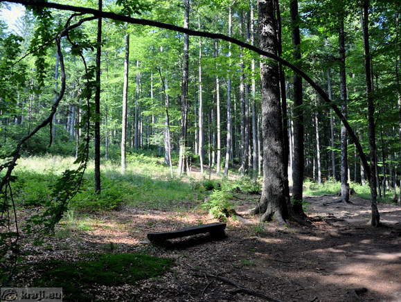 Rundweg zum Ort der letzten Schlacht des Pohorje-Bataillon